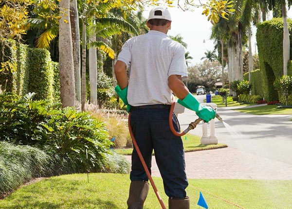 About Soperton GA Pest Control Pros